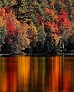 Best Foliage Upstate NY